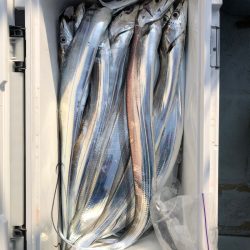 フィッシング キッタカ 釣果