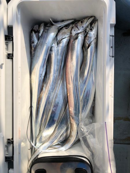 フィッシング キッタカ 釣果