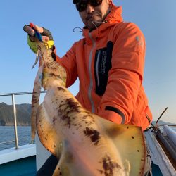 愛海丸 釣果