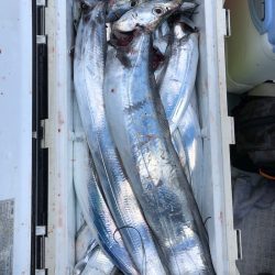 フィッシング キッタカ 釣果