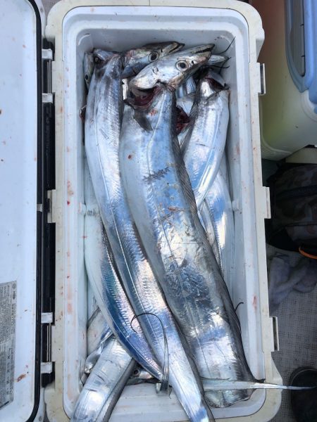 フィッシング キッタカ 釣果