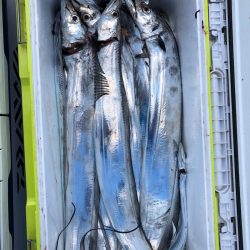 フィッシング キッタカ 釣果