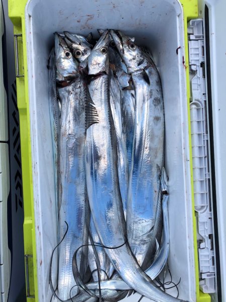 フィッシング キッタカ 釣果