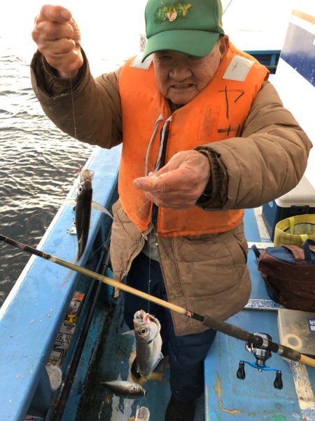 ヤザワ渡船 釣果