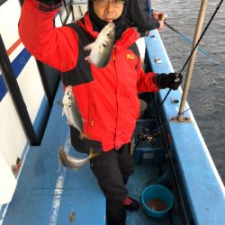 ヤザワ渡船 釣果