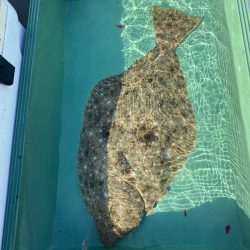 海楽隊 華栞丸 釣果