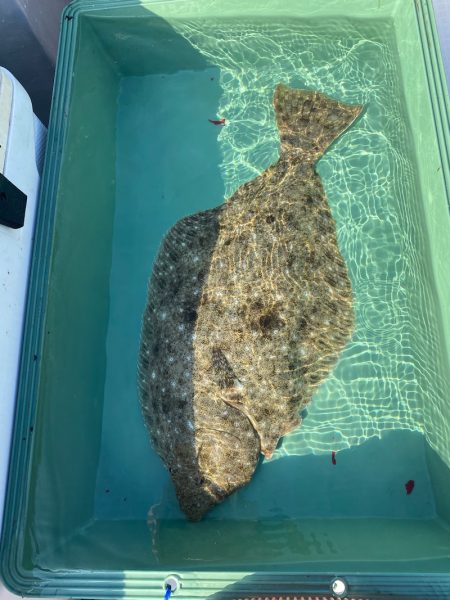 海楽隊 華栞丸 釣果