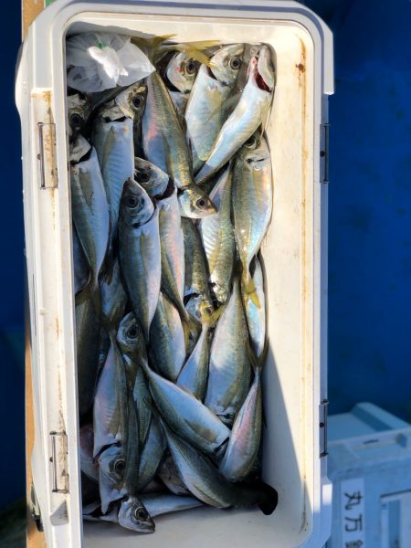丸万釣船 釣果