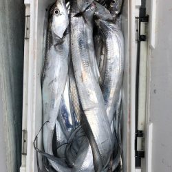 フィッシング キッタカ 釣果