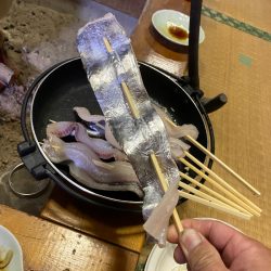 末広丸(熊本) 釣果