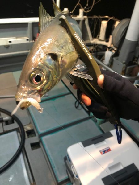 ＴＡＲＯＭＡＲＵ 釣果