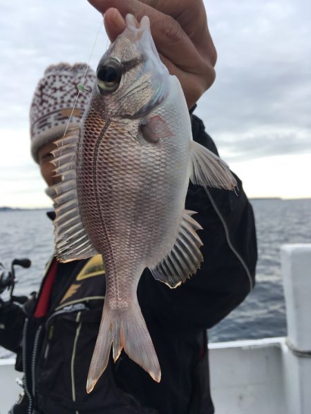 渡船屋たにぐち 釣果
