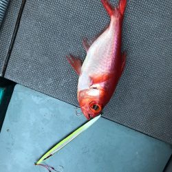 ＴＡＲＯＭＡＲＵ 釣果