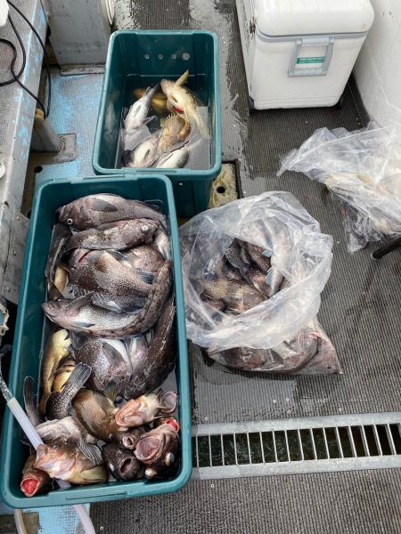 シーランチ 釣果