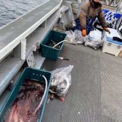 シーランチ 釣果