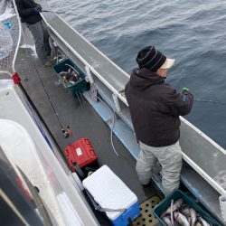 シーランチ 釣果