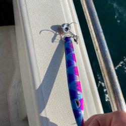 末広丸(熊本) 釣果