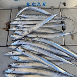 末広丸(熊本) 釣果