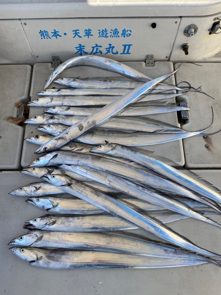 末広丸(熊本) 釣果