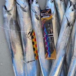 末広丸(熊本) 釣果