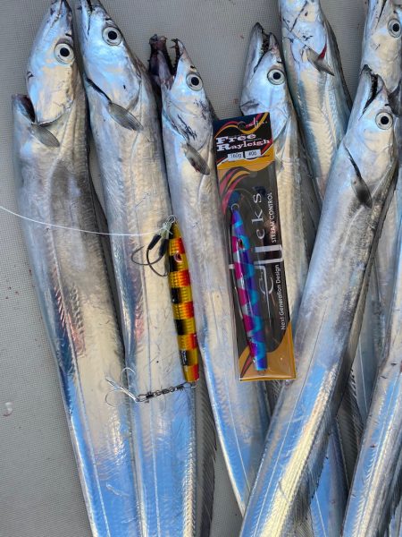 末広丸(熊本) 釣果