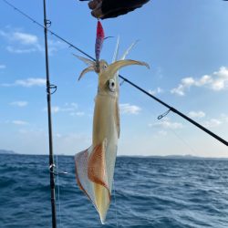 「LaGooN」蒼陽丸 日和号　 釣果