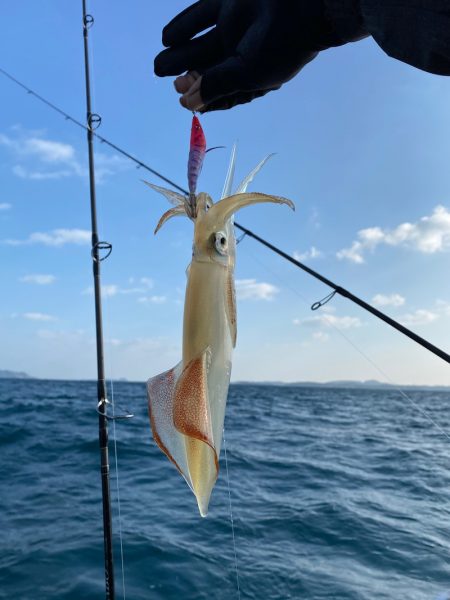 「LaGooN」蒼陽丸 日和号　 釣果