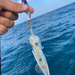 「LaGooN」蒼陽丸 日和号　 釣果