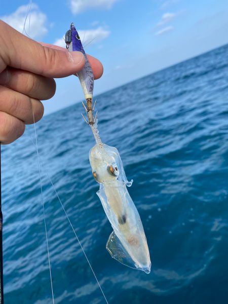 「LaGooN」蒼陽丸 日和号　 釣果