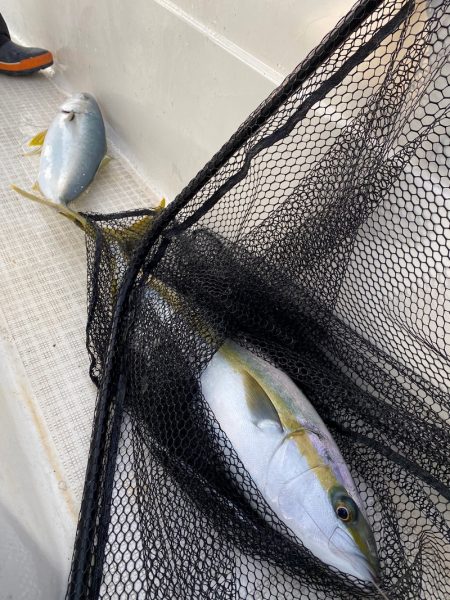 「LaGooN」蒼陽丸 日和号　 釣果