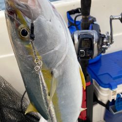 「LaGooN」蒼陽丸 日和号　 釣果