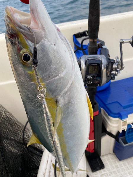 「LaGooN」蒼陽丸 日和号　 釣果