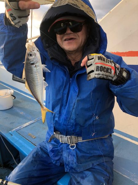 ヤザワ渡船 釣果