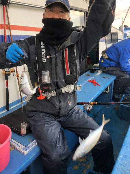 ヤザワ渡船 釣果