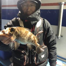 ヤザワ渡船 釣果