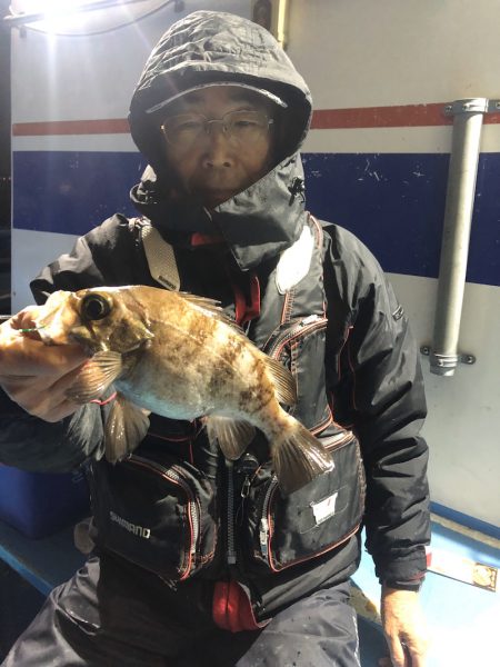 ヤザワ渡船 釣果