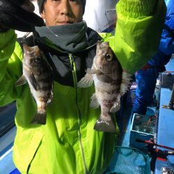 ヤザワ渡船 釣果