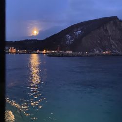 シーランチ 釣果