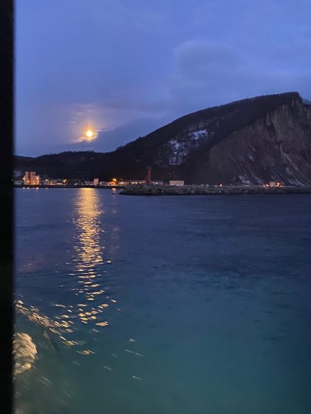 シーランチ 釣果