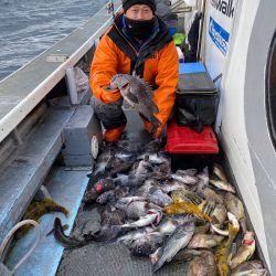 シーランチ 釣果