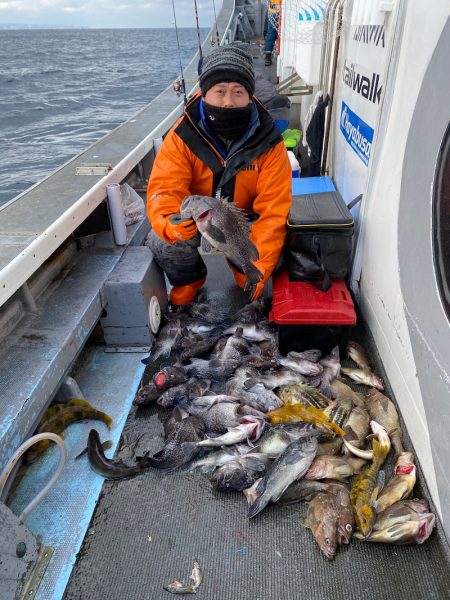 シーランチ 釣果