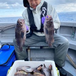 シーランチ 釣果