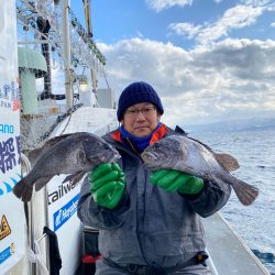 シーランチ 釣果