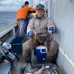 シーランチ 釣果