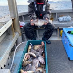 シーランチ 釣果