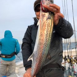 ランスルー 釣果