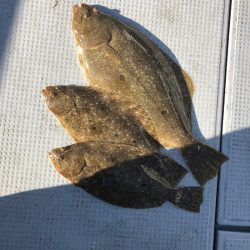 遊漁船高橋 釣果