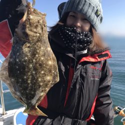 遊漁船メテオ 釣果