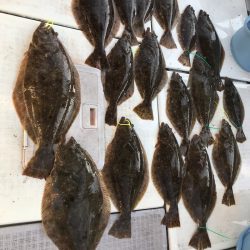 遊漁船メテオ 釣果