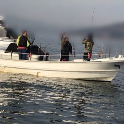 遊漁船メテオ 釣果